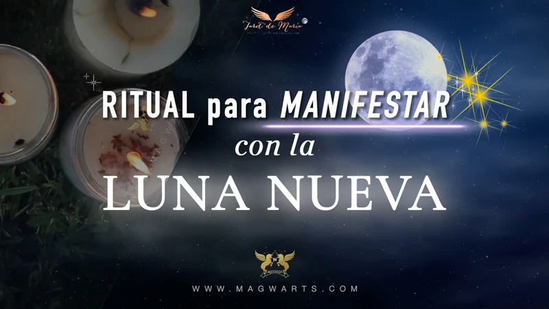 Ritual para MANIFESTAR con la LUNA 🌑🦋 | TAROT DE MARÍA